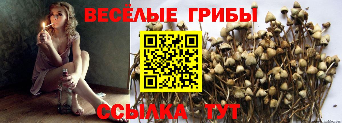 Псилоцибиновые грибы Magic Shrooms  Вход с VPN  закладка  Белореченск  Галлюциногенные грибы мухоморы 